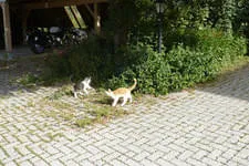 Gästebilder 2019 Bild 129