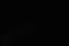 Galerie 11 Bild 986