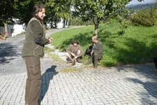Galerie 11 Bild 238