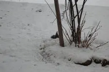 Galerie 13 Bild 135