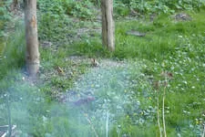 Galerie 13 Bild 100