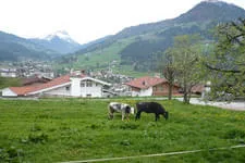 Galerie 13 Bild 94