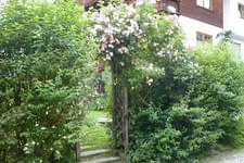 Galerie 14 Bild 164