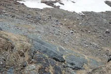 Galerie 14 Bild 82